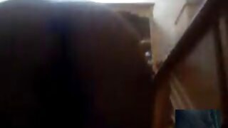 ಬುಸ್ಟಿ ಬ್ಲಾಂಡೀ ಸವನಾ ಗೋಲ್ಡ್ ಹುಂಜವನ್ನು ಮೆಚ್ಚಿಸಲು ಬಲವಾದ ಬಯಕೆಯನ್ನು ಹೊಂದಿದೆ